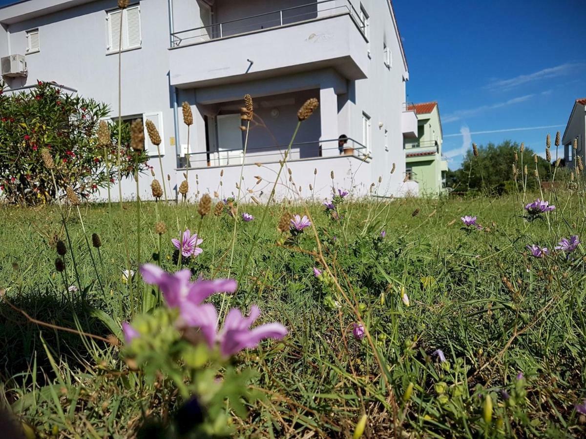 Apartment Vitalia 2+2 Poreč Zewnętrze zdjęcie