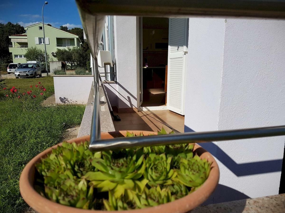 Apartment Vitalia 2+2 Poreč Zewnętrze zdjęcie